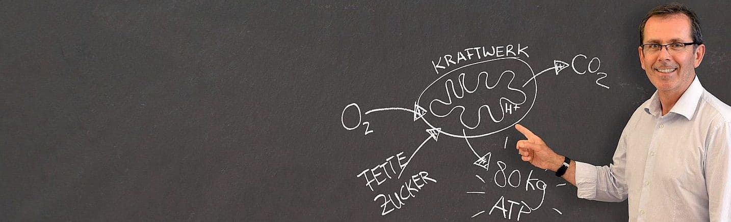 ZELLEN GESUND, MENSCH GESUND